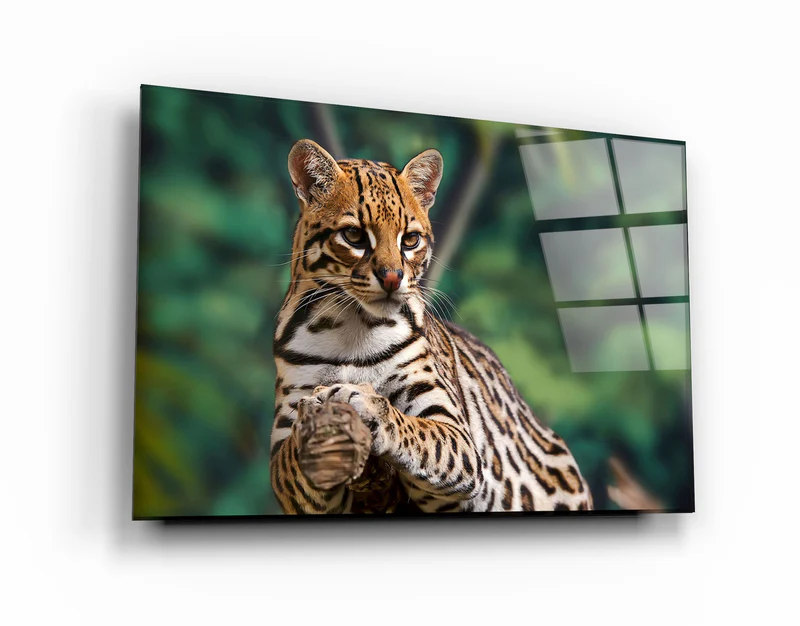 ・"Just Chillin"・Glass Wall Art